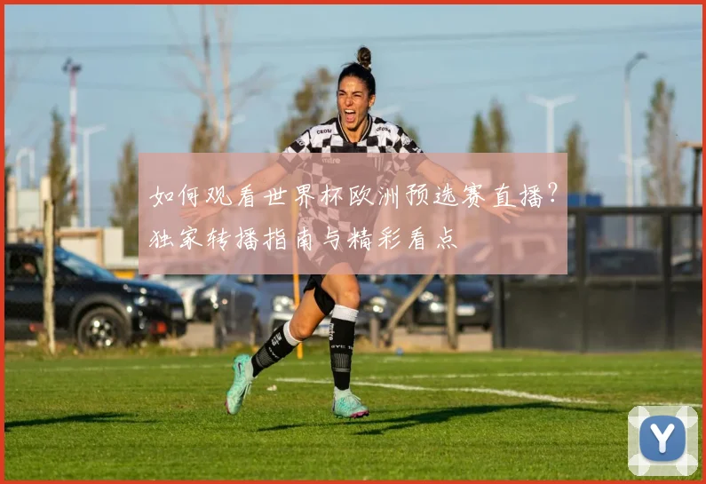 如何观看世界杯欧洲预选赛直播?独家转播指南与精彩看点
