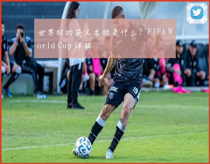 世界杯的英文名称是什么？FIFA World Cup 详解
